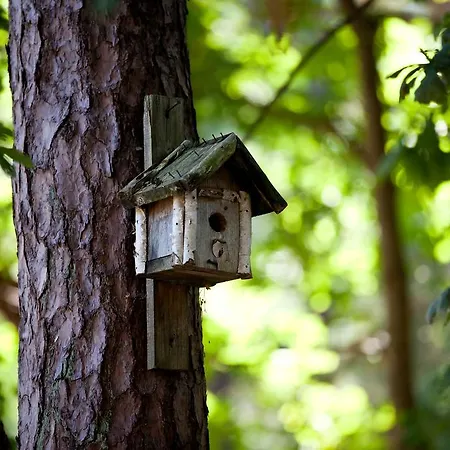 アパートホテル Wy & ポビエロボ