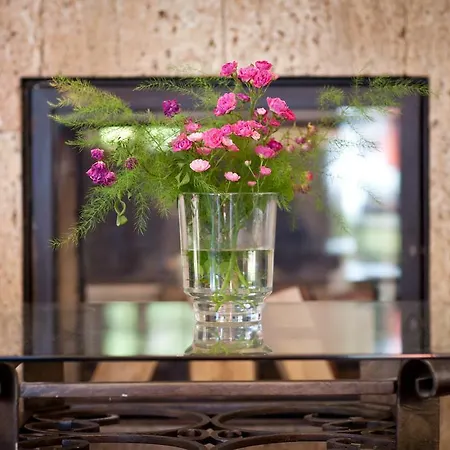 Wy & 4* ポビエロボ