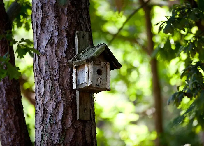 Aparthotel Wy & Pobierowo